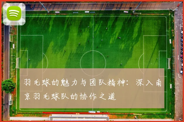 羽毛球的魅力与团队精神：深入南京羽毛球队的协作之道
